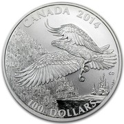Canada 100 Dollars Bald Eagle 2014 Matte Proof KM# 1936 CANADA 2014 CD 100 DOLLARS coin reverse Canada 100 Dollars Bald Eagle 2014 Matte Proof KM# 1936 CANADA 2014 CD 100 DOLLARS coin reverse