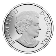 Canada 100 Dollars Bighorn Sheep 2014 Matte Proof KM# 1621 ELIZABETH II D ∙ G ∙ REGINA coin obverse Canada 100 Dollars Bighorn Sheep 2014 Matte Proof KM# 1621 ELIZABETH II D ∙ G ∙ REGINA coin obverse