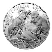 Canada 100 Dollars Bighorn Sheep 2014 Matte Proof KM# 1621 CANADA 2014 100 DOLLARS coin reverse Canada 100 Dollars Bighorn Sheep 2014 Matte Proof KM# 1621 CANADA 2014 100 DOLLARS coin reverse