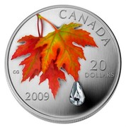 Canada 20 Dollars Autumn Showers 2009 Proof KM# 892 CANADA 20 DOLLARS 2009 coin reverse Canada 20 Dollars Autumn Showers 2009 Proof KM# 892 CANADA 20 DOLLARS 2009 coin reverse