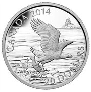 Canada 20 Dollars Bald Eagle With Fish 2014 Proof KM# 1735 CANADA 2014 CD 20 DOLLARS coin reverse Canada 20 Dollars Bald Eagle With Fish 2014 Proof KM# 1735 CANADA 2014 CD 20 DOLLARS coin reverse