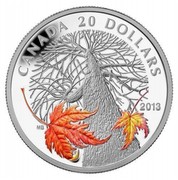 Canada 20 Dollars Canadian Maple Canopy - Autumn 2013 Proof KM# 1522 CANADA 20 DOLLARS MB 2013 coin reverse Canada 20 Dollars Canadian Maple Canopy - Autumn 2013 Proof KM# 1522 CANADA 20 DOLLARS MB 2013 coin reverse