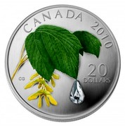 Canada 20 Dollars Crystal Raindrop 2010 Proof KM# 1013 CANADA 2010 20 DOLLARS coin reverse Canada 20 Dollars Crystal Raindrop 2010 Proof KM# 1013 CANADA 2010 20 DOLLARS coin reverse