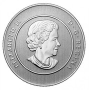 Canada 20 Dollars Iceberg & Whale 2013 KM# 1512 ELIZABETH II D∙G∙REGINA coin obverse