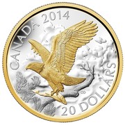 Canada 20 Dollars Perched Bald Eagle 2014 Proof KM# 1736 CANADA 2014 CD 20 DOLLARS coin reverse Canada 20 Dollars Perched Bald Eagle 2014 Proof KM# 1736 CANADA 2014 CD 20 DOLLARS coin reverse