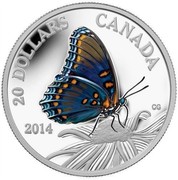 Canada 20 Dollars Red-Spotted Purple Butterfly 2014 Proof KM# 1796 20 DOLLARS CANADA 2014 coin reverse Canada 20 Dollars Red-Spotted Purple Butterfly 2014 Proof KM# 1796 20 DOLLARS CANADA 2014 coin reverse