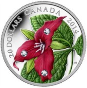 Canada 20 Dollars Red Trillium 2014 Proof KM# 1771 20 DOLLARS CANADA 2014 coin reverse Canada 20 Dollars Red Trillium 2014 Proof KM# 1771 20 DOLLARS CANADA 2014 coin reverse