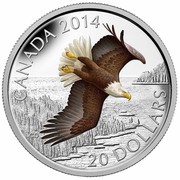 Canada 20 Dollars Soaring Bald Eagle 2014 Proof KM# 1737 CANADA 2014 CD 20 DOLLARS coin reverse Canada 20 Dollars Soaring Bald Eagle 2014 Proof KM# 1737 CANADA 2014 CD 20 DOLLARS coin reverse