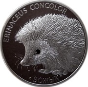 Belarus 20 Roubles Hedgehog 2011 Proof KM# 381 ERINACEUS CONCOLOR ВОЖЫК coin reverse Belarus 20 Roubles Hedgehog 2011 Proof KM# 381 ERINACEUS CONCOLOR ВОЖЫК coin reverse
