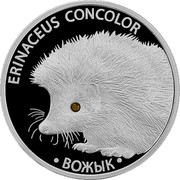 Belarus 20 Roubles Hedgehog 2011 Proof KM# 414 ERINACEUS CONCOLOR ВОЖЫК coin reverse Belarus 20 Roubles Hedgehog 2011 Proof KM# 414 ERINACEUS CONCOLOR ВОЖЫК coin reverse