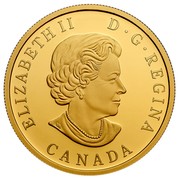 Canada 200 Dollars Air. The Thunderbird. Interconnection 2014 Proof KM# 1785 ELIZABETH II D G REGINA CANADA coin obverse Canada 200 Dollars Air. The Thunderbird. Interconnection 2014 Proof KM# 1785 ELIZABETH II D G REGINA CANADA coin obverse