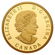 Canada 200 Dollars Land. The Beaver. Interconnection 2014 Proof KM# 1784 ELIZABETH II D G REGINA CANADA coin obverse Canada 200 Dollars Land. The Beaver. Interconnection 2014 Proof KM# 1784 ELIZABETH II D G REGINA CANADA coin obverse