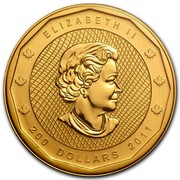 Canada 200 Dollars Royal Canadian Mounted Police 2011 KM# 1165 ELIZABETH II 200 DOLLARS 2011 coin obverse Canada 200 Dollars Royal Canadian Mounted Police 2011 KM# 1165 ELIZABETH II 200 DOLLARS 2011 coin obverse
