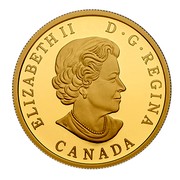 Canada 200 Dollars Sea. The Orca. Interconnection 2014 Proof KM# 1786 ELIZABETH II D G REGINA CANADA coin obverse Canada 200 Dollars Sea. The Orca. Interconnection 2014 Proof KM# 1786 ELIZABETH II D G REGINA CANADA coin obverse