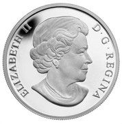 Canada 25 Dollars The Polar Bear 2013 Proof KM# 1403 ELIZABETH II D ∙ G ∙ REGINA coin obverse Canada 25 Dollars The Polar Bear 2013 Proof KM# 1403 ELIZABETH II D ∙ G ∙ REGINA coin obverse