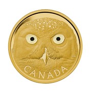 Canada 2500 Dollars In the Eyes of the Snowy Owl 2014 Proof KM# 1606 CANADA AN coin reverse Canada 2500 Dollars In the Eyes of the Snowy Owl 2014 Proof KM# 1606 CANADA AN coin reverse