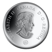 Canada 30 Dollars Canadian North 2006 Proof KM# 671 ELIZABETH II CANADA D ∙ G ∙ REGINA coin obverse Canada 30 Dollars Canadian North 2006 Proof KM# 671 ELIZABETH II CANADA D ∙ G ∙ REGINA coin obverse