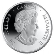Canada 30 Dollars Fifth Anniversary of Canadarm 2006 Proof KM# 668 30 DOLLARS ∙ CANADA ∙ ELIZABETH II coin obverse Canada 30 Dollars Fifth Anniversary of Canadarm 2006 Proof KM# 668 30 DOLLARS ∙ CANADA ∙ ELIZABETH II coin obverse