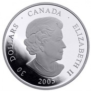 Canada 30 Dollars Totem Pole 2006 KM# 590 30 DOLLARS ∙ CANADA ∙ ELIZABETH II 2005 SB coin obverse Canada 30 Dollars Totem Pole 2006 KM# 590 30 DOLLARS ∙ CANADA ∙ ELIZABETH II 2005 SB coin obverse