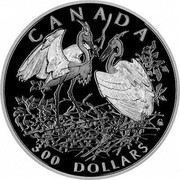 Canada 300 Dollars Great Blue Heron 2002 KM# 1100 CANADA 300 DOLLARS coin reverse