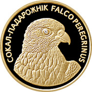 Belarus 50 Roubles Peregrine Falcon 2006 KM# 142 СОКАЛ-ПАДАРОЖНІК FALCO PEREGRINUS coin reverse