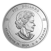 Canada 500 Dollars National Aboriginal Veterans Monument 2014 Proof KM# 1766 500 DOLLARS 5 KG 9999 5 KG 9999 ELIZABETH II 2014 D ∙ G ∙ REGINA coin obverse Canada 500 Dollars National Aboriginal Veterans Monument 2014 Proof KM# 1766 500 DOLLARS 5 KG 9999 5 KG 9999 ELIZABETH II 2014 D ∙ G ∙ REGINA coin obverse