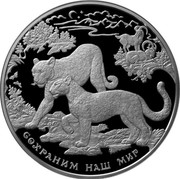 Russia One Hundred Roubles Southwest Asian Leopard 2011 ММД Proof-like; Moscow Mint СОХРАНИМ НАШ МИР coin reverse