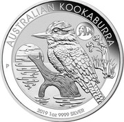 Australia 1 Dollar Australian Kookaburra 2019 Panda privy AUSTRALIAN KOOKABURRA 2019 1OZ 9999 SILVER P coin reverse Australia 1 Dollar Australian Kookaburra 2019 Panda privy AUSTRALIAN KOOKABURRA 2019 1OZ 9999 SILVER P coin reverse