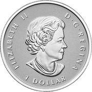 Canada 1 Dollar Maple Leaf 2015 KM# 1805 ELIZABETH II D • G • REGINA 1 DOLLAR SB coin obverse Canada 1 Dollar Maple Leaf 2015 KM# 1805 ELIZABETH II D • G • REGINA 1 DOLLAR SB coin obverse