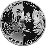 Belarus 1 Rouble Ghost Orchid 2016 Proof-like KM# 570 НАДБАРОДНІК БЯЗЛІСТЫ EPIPOGIUM APHYLLUM coin reverse Belarus 1 Rouble Ghost Orchid 2016 Proof-like KM# 570 НАДБАРОДНІК БЯЗЛІСТЫ EPIPOGIUM APHYLLUM coin reverse