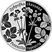 Belarus 1 Rouble Potentilla Rupestris 2017 Proof-like ДУБРОЎКА СКАЛЬНАЯ POTENTILLA RUPESTRIS coin reverse Belarus 1 Rouble Potentilla Rupestris 2017 Proof-like ДУБРОЎКА СКАЛЬНАЯ POTENTILLA RUPESTRIS coin reverse