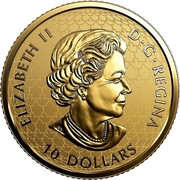 Canada 10 Dollars Fractional Maple Leaf Tribute 2018 Reverse Proof ELIZABETH II D • G • REGINA 10 DOLLARS SB coin obverse Canada 10 Dollars Fractional Maple Leaf Tribute 2018 Reverse Proof ELIZABETH II D • G • REGINA 10 DOLLARS SB coin obverse