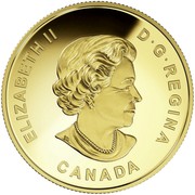 Canada 100 Dollars Batman vs Superman 2016 Proof KM# 2138 ELIZABETH II D ∙ G ∙ REGINA CANADA coin obverse Canada 100 Dollars Batman vs Superman 2016 Proof KM# 2138 ELIZABETH II D ∙ G ∙ REGINA CANADA coin obverse