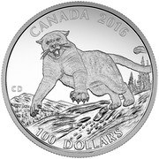 Canada 100 Dollars Cougar 2016 Matte Proof KM# 2239 CANADA 2016 CD 100 DOLLARS coin reverse Canada 100 Dollars Cougar 2016 Matte Proof KM# 2239 CANADA 2016 CD 100 DOLLARS coin reverse