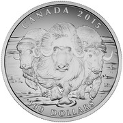 Canada 100 Dollars Musk Ox 2015 Matte Proof KM# 2046 CANADA 2015 LS 100 DOLLARS coin reverse Canada 100 Dollars Musk Ox 2015 Matte Proof KM# 2046 CANADA 2015 LS 100 DOLLARS coin reverse