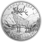 Canada 100 Dollars Noble Elk 2016 Matte Proof KM# 2237 CANADA 2016 GL 100 DOLLARS coin reverse Canada 100 Dollars Noble Elk 2016 Matte Proof KM# 2237 CANADA 2016 GL 100 DOLLARS coin reverse