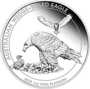 Australia 100 Dollars Wedge-tailed Eagle 2018 P Proof AUSTRALIAN WEDGE-TAILED EAGLE 2018 1 OZ 9995 PLATINUM coin reverse Australia 100 Dollars Wedge-tailed Eagle 2018 P Proof AUSTRALIAN WEDGE-TAILED EAGLE 2018 1 OZ 9995 PLATINUM coin reverse