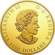 Canada 1250 Dollars Elk 2017 ELIZABETH II D • G • REGINA 1250 DOLLARS SB coin obverse Canada 1250 Dollars Elk 2017 ELIZABETH II D • G • REGINA 1250 DOLLARS SB coin obverse