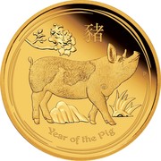 Australia 15 Dollars Year of the Pig 2019 Proof YEAR OF THE PIG coin reverse Australia 15 Dollars Year of the Pig 2019 Proof YEAR OF THE PIG coin reverse