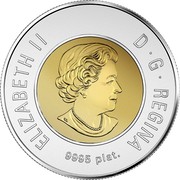 Canada 2 Dollars 20 Years Polar Bear Toonie 1996-2016 2016 KM# 2104 ELIZABETH II D G REGINA 9995 PLAT. SB coin obverse Canada 2 Dollars 20 Years Polar Bear Toonie 1996-2016 2016 KM# 2104 ELIZABETH II D G REGINA 9995 PLAT. SB coin obverse
