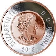 Canada 2 Dollars Big Coin Series - Polar Bear 2018 Proof ELIZABETH II D ∙ G ∙ REGINA 2018 coin obverse Canada 2 Dollars Big Coin Series - Polar Bear 2018 Proof ELIZABETH II D ∙ G ∙ REGINA 2018 coin obverse