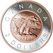 Canada 2 Dollars Big Coin Series - Polar Bear 2018 Proof CANADA 2 DOLLARS BT coin reverse Canada 2 Dollars Big Coin Series - Polar Bear 2018 Proof CANADA 2 DOLLARS BT coin reverse