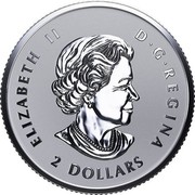 Canada 2 Dollars Fractional Maple Leaf Tribute 2017 Reverse Proof ELIZABETH II D G REGINA 2 DOLLARS SB coin obverse Canada 2 Dollars Fractional Maple Leaf Tribute 2017 Reverse Proof ELIZABETH II D G REGINA 2 DOLLARS SB coin obverse