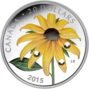 Canada 20 Dollars Black-Eyed Susan with Crystal Dew Drop 2015 Proof KM# 1901 CANADA ∙ 20 DOLLARS LK 2015 coin reverse Canada 20 Dollars Black-Eyed Susan with Crystal Dew Drop 2015 Proof KM# 1901 CANADA ∙ 20 DOLLARS LK 2015 coin reverse
