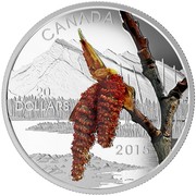 Canada 20 Dollars Boreal Balsam Poplar Forests of Canada 2015 Proof CANADA 20 DOLLARS 2015 coin reverse