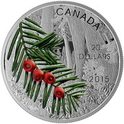 Canada 20 Dollars Columbian Yew Tree 2015 Proof KM# 1903 CANADA 20 DOLLARS 2015 coin reverse Canada 20 Dollars Columbian Yew Tree 2015 Proof KM# 1903 CANADA 20 DOLLARS 2015 coin reverse