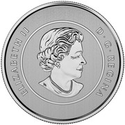 Canada 20 Dollars FIFA Women's World Cup 2015 Specimen KM# 1996 ELIZABETH II D ∙ G ∙ REGINA coin obverse