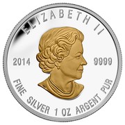 Canada 20 Dollars Love - The Seven Sacred Teachings 2014 Proof KM# 1670 ELIZABETH II 2014 9999 FINE SILVER 1 OZ ARGENT PUR coin obverse Canada 20 Dollars Love - The Seven Sacred Teachings 2014 Proof KM# 1670 ELIZABETH II 2014 9999 FINE SILVER 1 OZ ARGENT PUR coin obverse