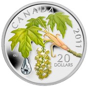Canada 20 Dollars Maple Leaf Crystal Raindrop 2011 Proof KM# 1147 CANADA CG 2011 20 DOLLARS coin reverse Canada 20 Dollars Maple Leaf Crystal Raindrop 2011 Proof KM# 1147 CANADA CG 2011 20 DOLLARS coin reverse