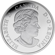 Canada 20 Dollars Merrie Melodies 2015 Proof KM# 1980 ELIZABETH II CANADA D G REGINA coin obverse